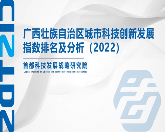 操爱淫操穴影视【成果发布】广西壮族自治区城市科技创新发展指数排名及分析（2022）